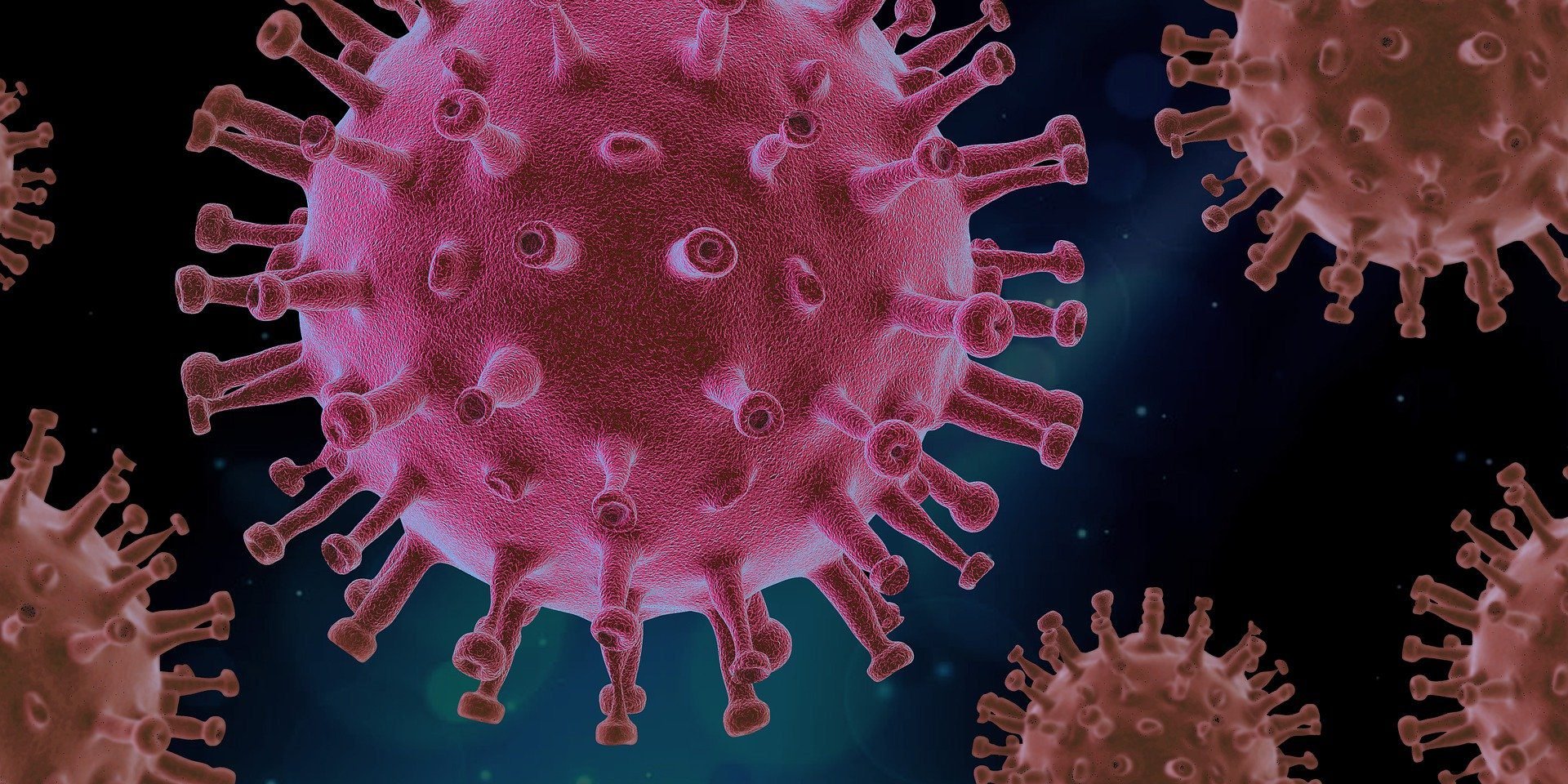 virus-4937553_1920